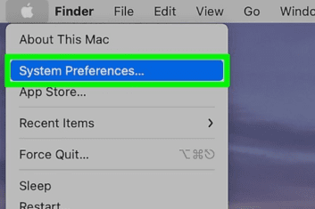 Select System Preferences..