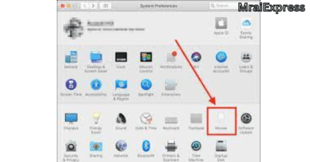 Select Mouse in system preference