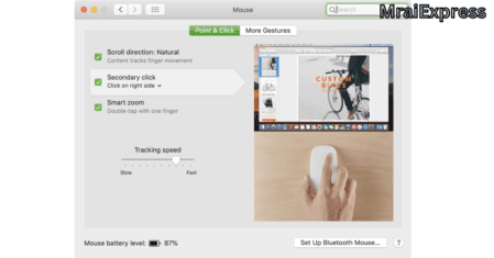 Point & Click section for magic mouse