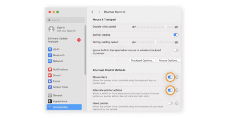 Switch between Mouse Keys and Other Pointer Actions.