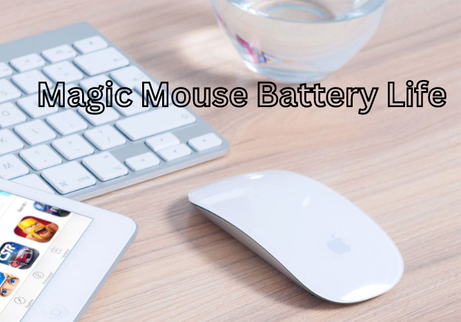 How long does the Magic Mouse Battery Life & How to make it better