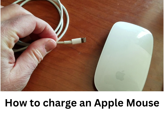 How to charge an Apple Mouse