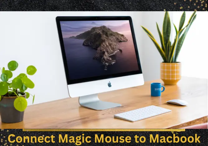 Force magic mouse to pair with Macbook